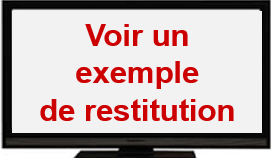 Exemple de restitution du profil RADHAR